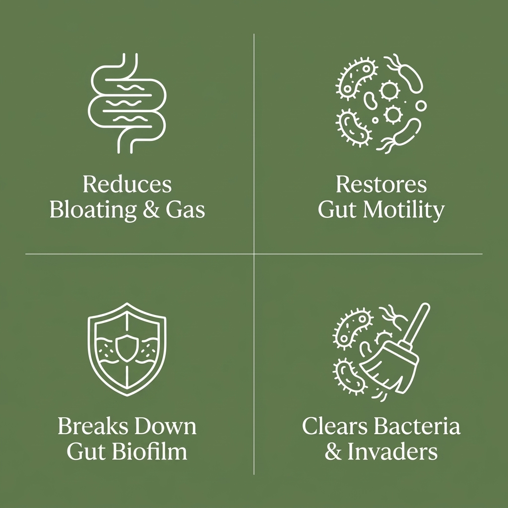 Biora - Microbiome Reset Formula